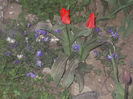 DSCN8213_3684