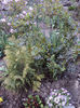 DSC02869