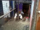 IMG00326-20130220-1206