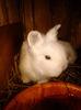 IMG_20130331_191619