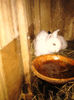 IMG_20130331_191624