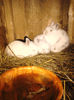 IMG_20130331_191714