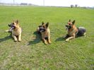 Super trio :)