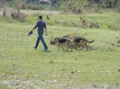 Mergem sa recuperam ratza :)