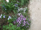 DSCF0355