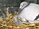 DSCN1741