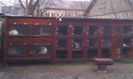 88584393_DRXUOOU