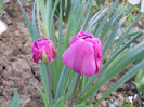 DSCN4155
