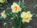DSCN4173