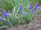DSCN4177