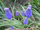 DSCN4178