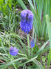 DSCN4180