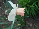 DSCN4188