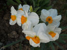 DSCN4205