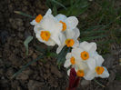 DSCN4208