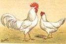 88656517_FYXUIOA