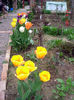 DSC03804