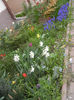 Spring colors (2013, April 20)
