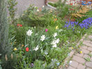 Spring colors (2013, April 20)