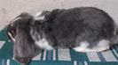 DSCF0257
