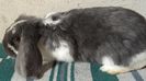 DSCF0259