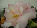DSC06953
