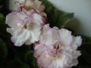 DSC06954