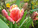 DSC02634