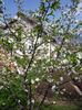 P1020679
