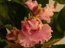 DSCN0395