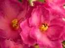 DSCN0361