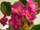 DSCN0359