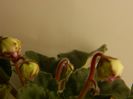 DSCN0358