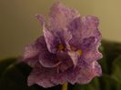 DSCN0357