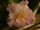 DSCN0355