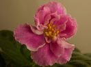 DSCN0353