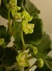 DSCN0352