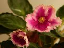 DSCN0346