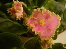 DSCN0344