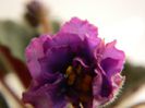 DSCN0332