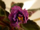 DSCN0331