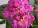 DSCN0328