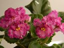 DSCN0327