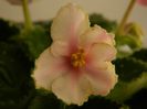 DSCN0326