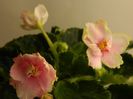 DSCN0324