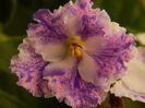 DSCN0322