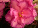 DSCN0318