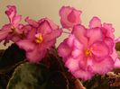 DSCN0317