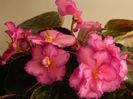 DSCN0316