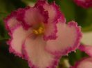 DSCN0315